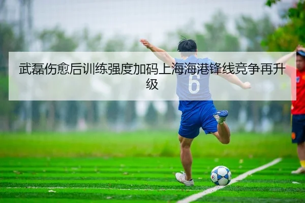 武磊伤愈后训练强度加码上海海港锋线竞争再升级