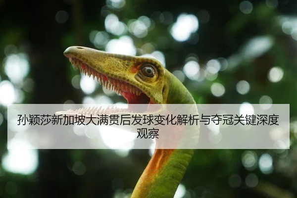 孙颖莎新加坡大满贯后发球变化解析与夺冠关键深度观察